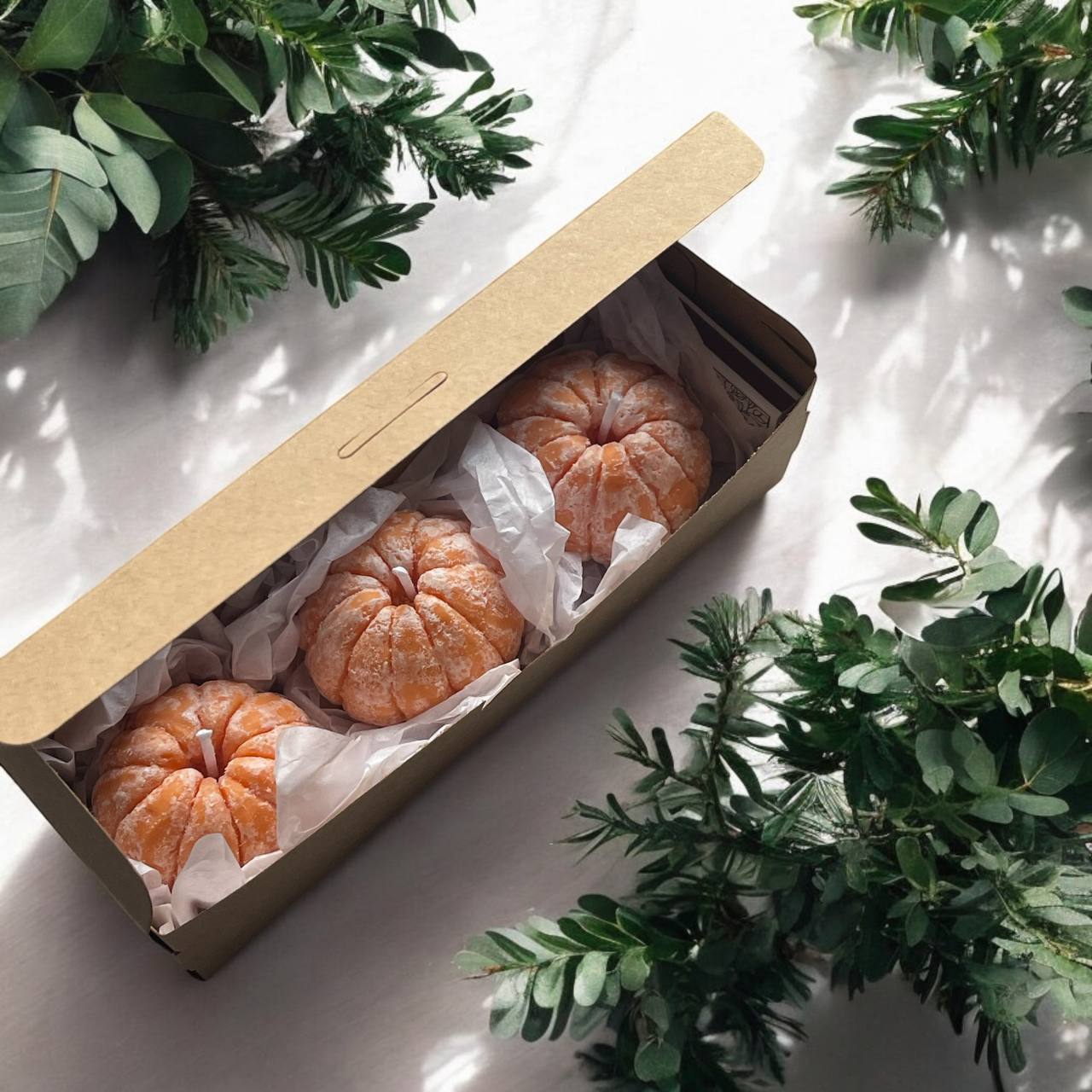 photo_2024-12-02_12-12-29