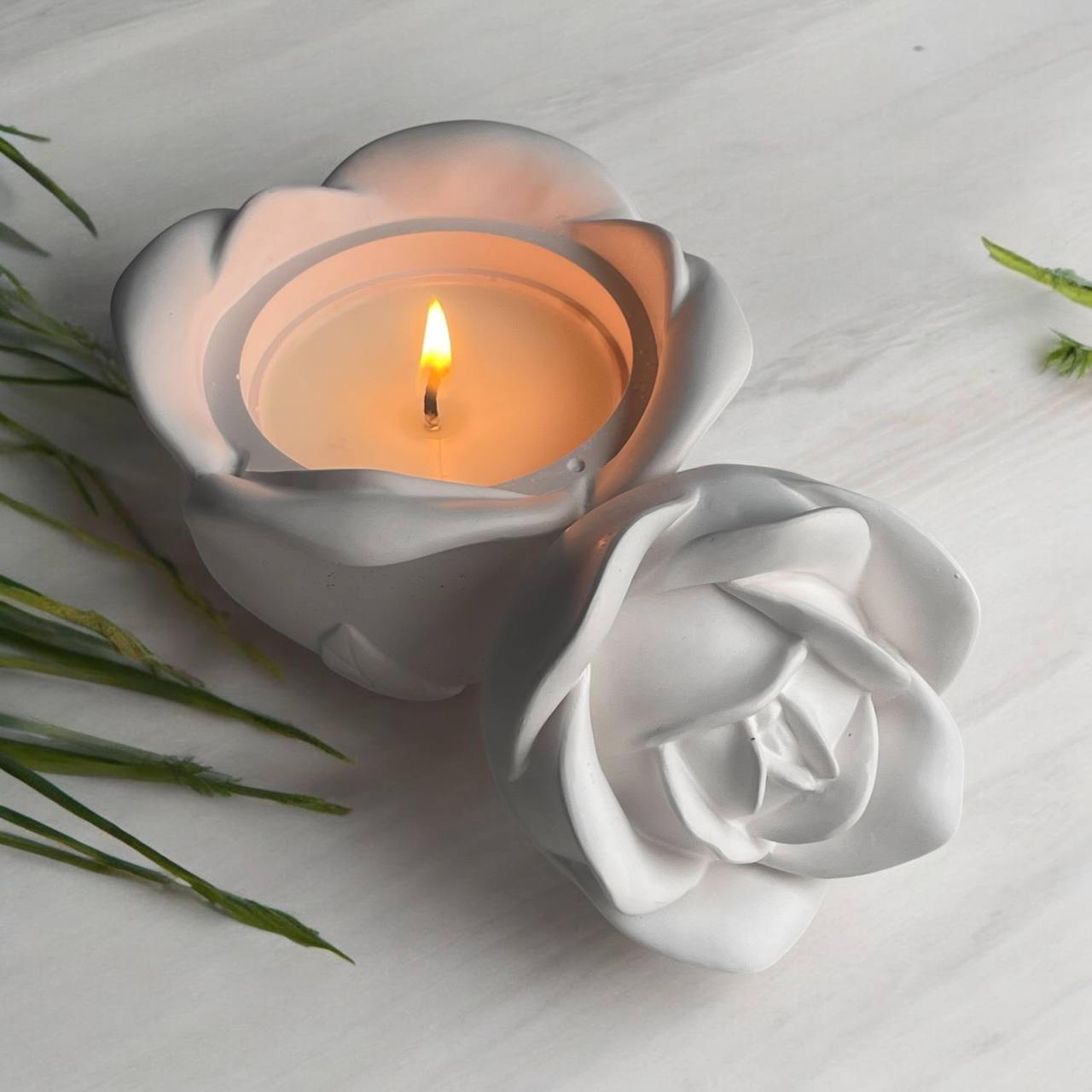 photo_2025-02-07_14-00-53