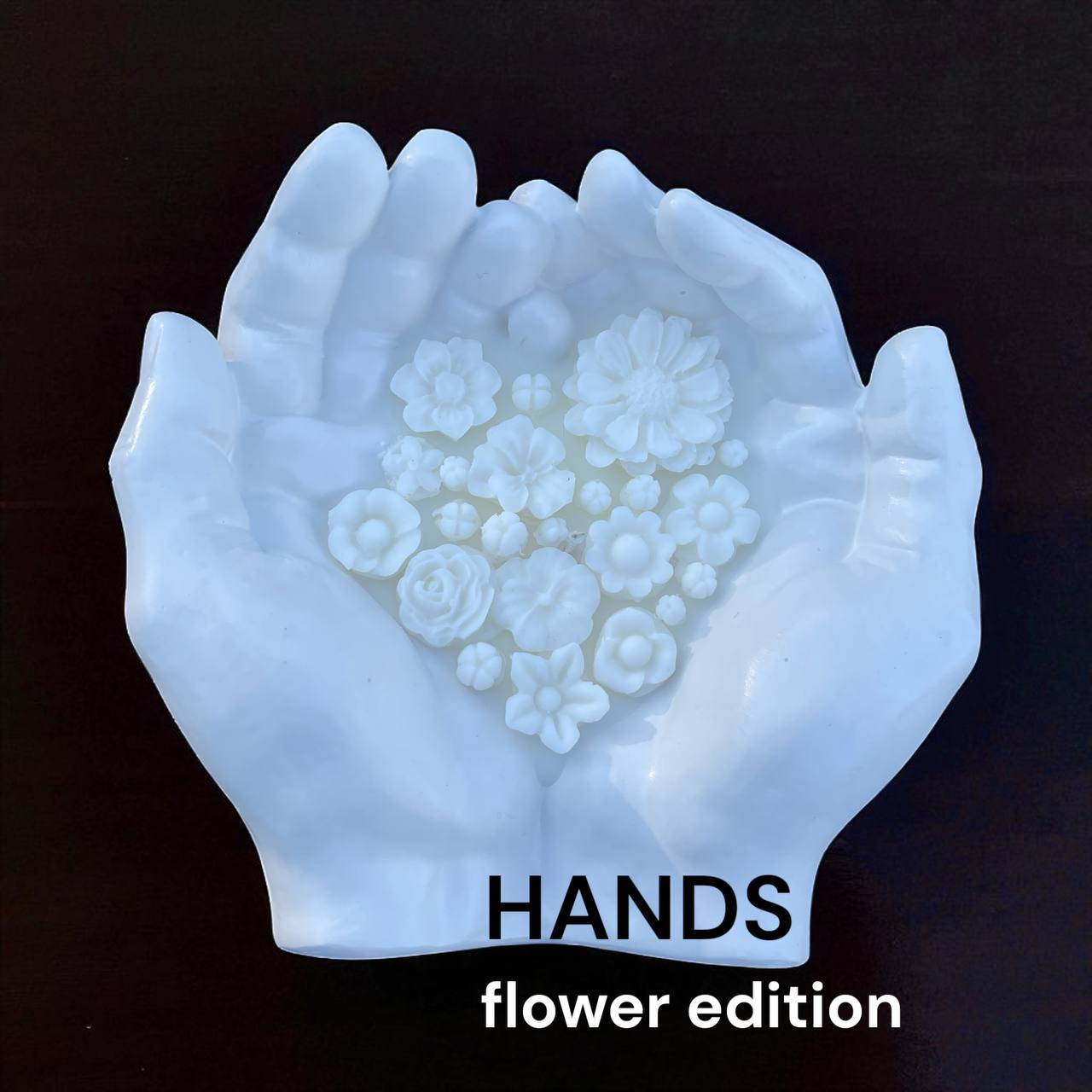 photo_2025-08-18_08-52-04