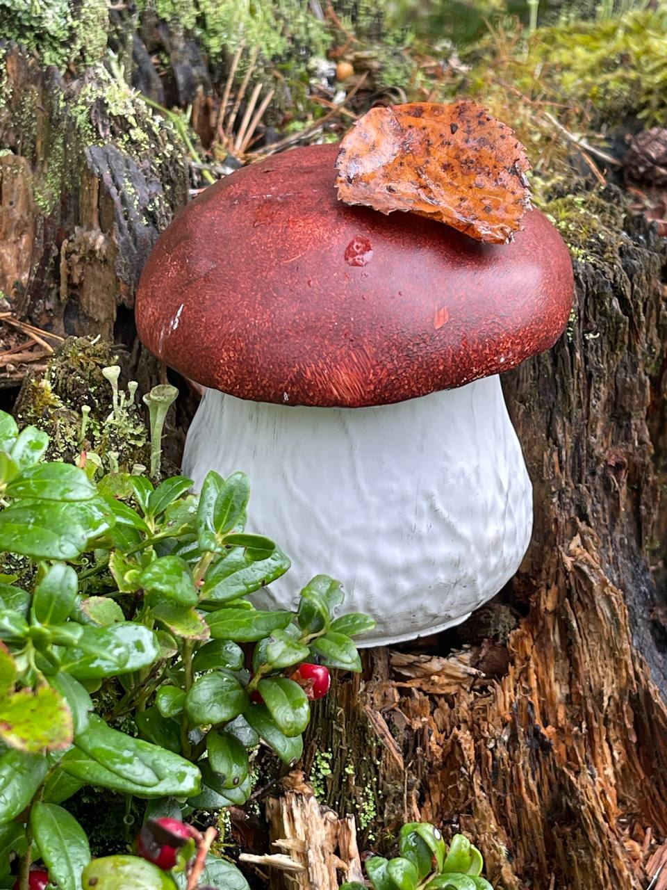 photo_2025-08-28_10-38-50 (2)