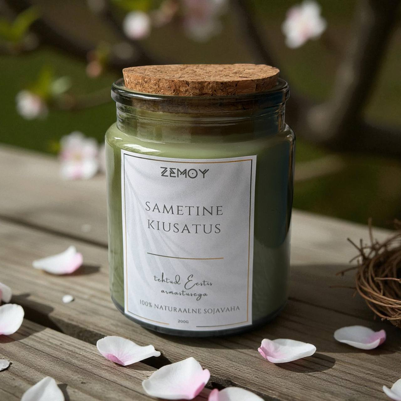 photo_2025-10-24_14-23-31