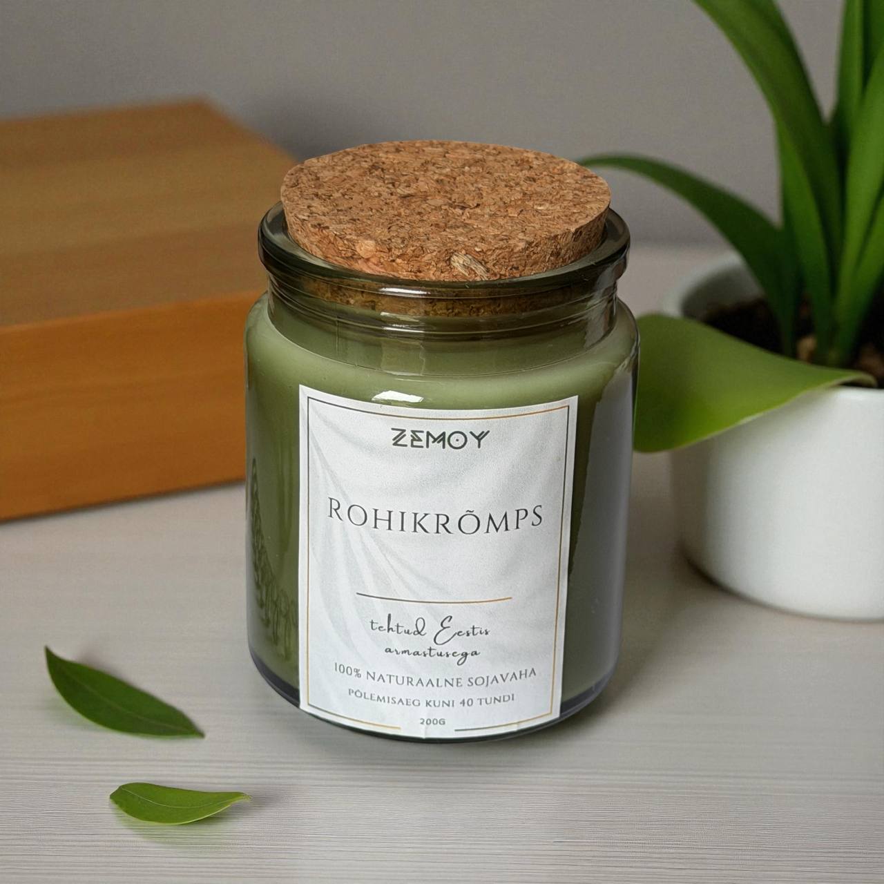 photo_2025-10-24_15-04-28